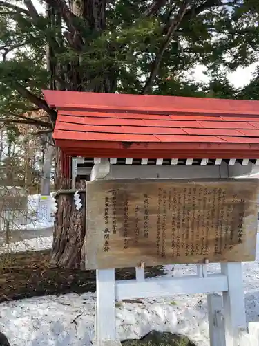 豊栄神社の歴史