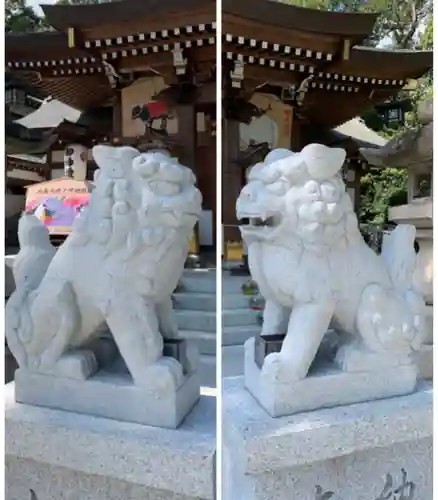 伊和志津神社の狛犬