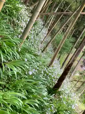 御嶽山神社の自然