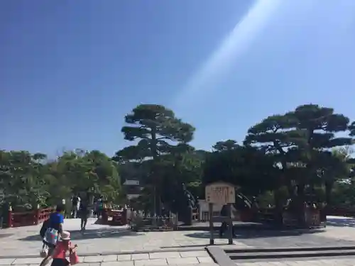 鶴岡八幡宮の庭園