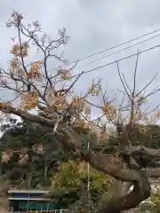 香取神宮(千葉県)