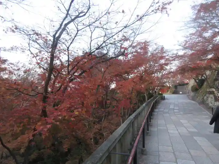 清水寺(京都府)
