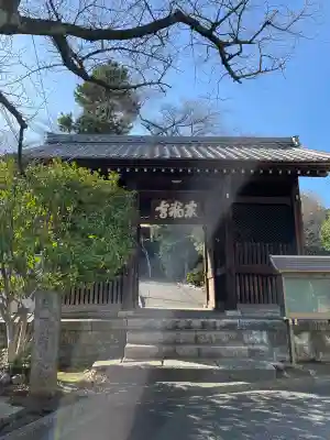 東福寺の{uncategorized: "未分類", other: "その他", undefined: "問題あり", building: "その他建物", grave: "お墓", sacred_gate: "鳥居", guardian: "狛犬", statue: "像", buddha: "仏像", history: "歴史", nature: "自然", garden: "庭園", animal: "動物", pagoda: "塔", temizu: "手水舎", mountain_gate: "山門・神門", sanctuary: "本殿・本堂", subordinate: "末社・摂社", art: "芸術", scenery: "景色", jizo: "地蔵", ema: "絵馬", goshuin: "御朱印", omikuji: "おみくじ", items: "授与品その他", amulet: "お守り", goshuincho: "御朱印帳", eats: "食事", festival: "お祭り", votive_dance: "神楽", shichigosan: "七五三参", wedding: "結婚式", experience: "体験その他", initially: "初詣", around: "周辺", anti_infection: "感染症対策"}