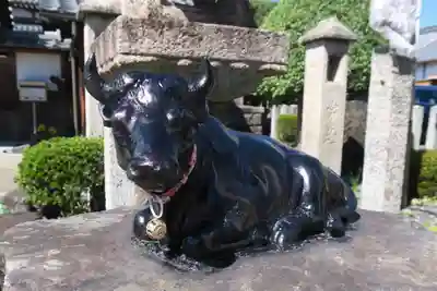 大松禅寺(京都府)