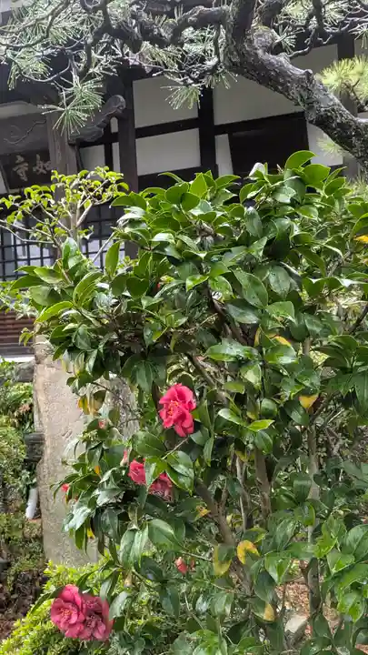 眞如寺(大阪府)