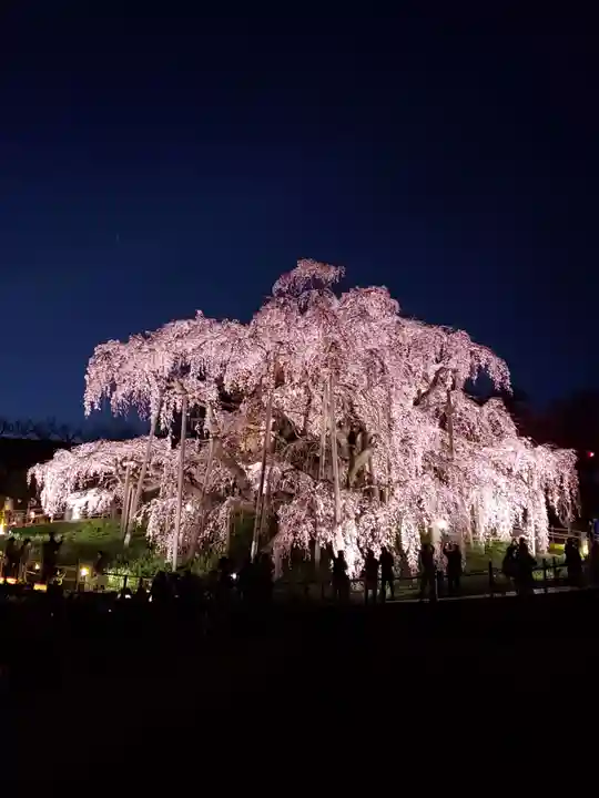 瀧桜神明宮(福島県)