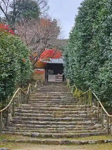 白毫寺(奈良県)