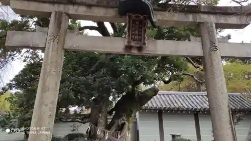 養源院の鳥居