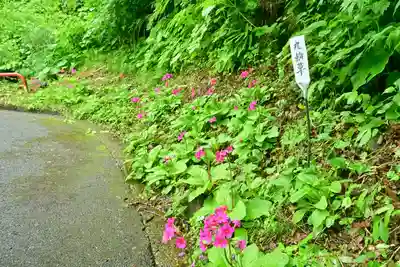 高龍神社(新潟県)