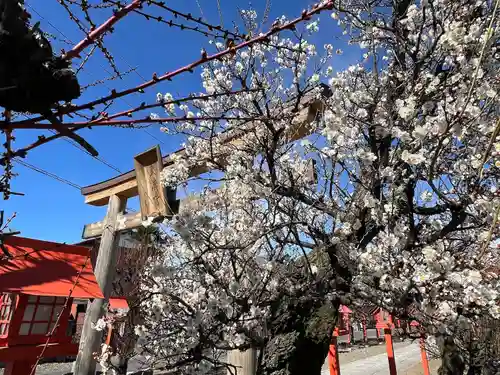 朝日森天満宮(栃木県)