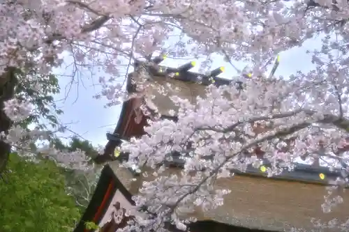 富士山本宮浅間大社(静岡県)