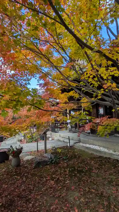 勝林寺(京都府)