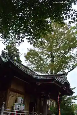 白笹稲荷神社(神奈川県)