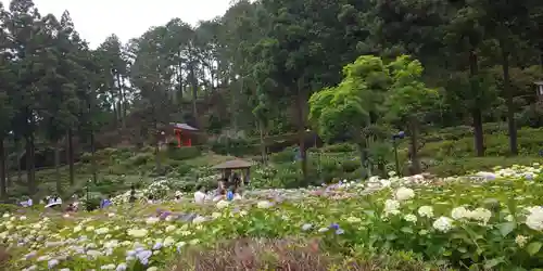 三室戸寺の庭園