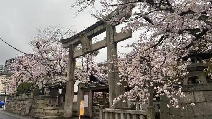天孫神社の{uncategorized: "未分類", other: "その他", undefined: "問題あり", building: "その他建物", grave: "お墓", sacred_gate: "鳥居", guardian: "狛犬", statue: "像", buddha: "仏像", history: "歴史", nature: "自然", garden: "庭園", animal: "動物", pagoda: "塔", temizu: "手水舎", mountain_gate: "山門・神門", sanctuary: "本殿・本堂", subordinate: "末社・摂社", art: "芸術", scenery: "景色", jizo: "地蔵", ema: "絵馬", goshuin: "御朱印", omikuji: "おみくじ", items: "授与品その他", amulet: "お守り", goshuincho: "御朱印帳", eats: "食事", festival: "お祭り", votive_dance: "神楽", shichigosan: "七五三参", wedding: "結婚式", experience: "体験その他", initially: "初詣", around: "周辺", anti_infection: "感染症対策"}