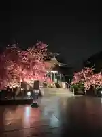 桜神宮(東京都)