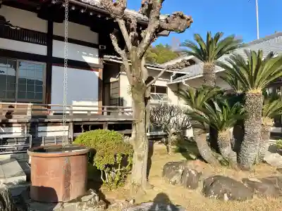 洞泉院(静岡県)