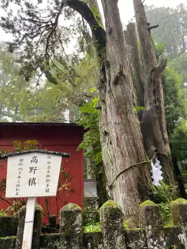 日光二荒山神社の建物その他