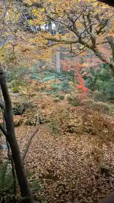 三千院門跡(京都府)