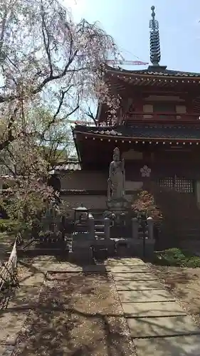 新井薬師（梅照院）(東京都)