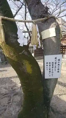 白山神社（榎白山神社）のその他建物