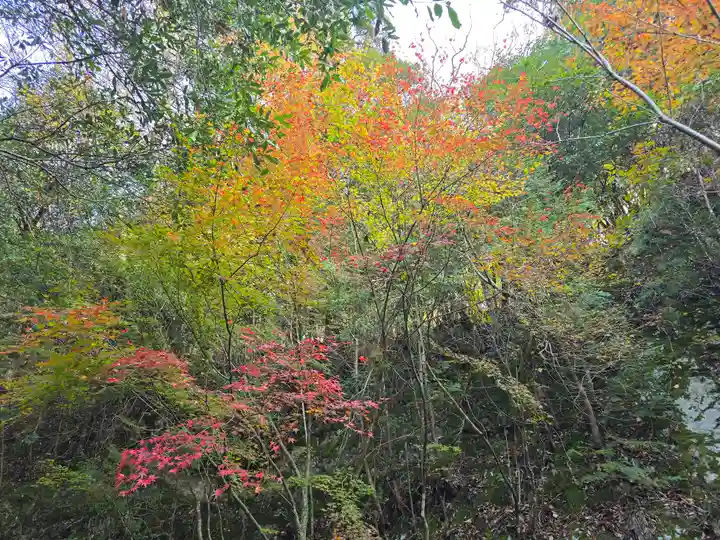 龍燈明神(京都府)