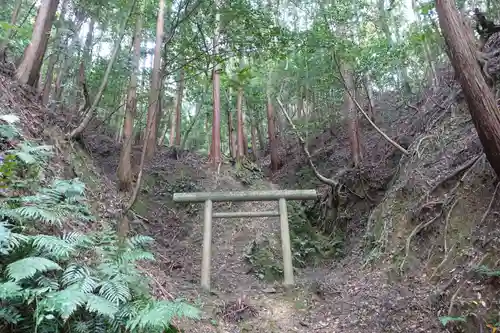 日向大神宮の鳥居