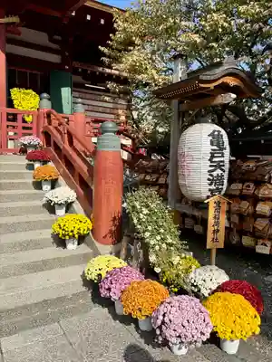 亀戸天神社(東京都)