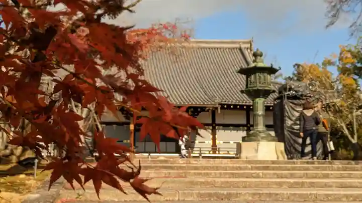 仁和寺(京都府)