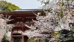 醍醐寺(京都府)