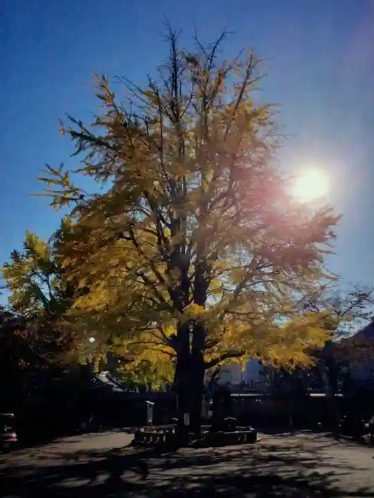 善福寺(東京都)