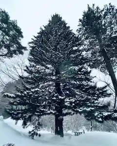 土津神社|こどもと出世の神さまの自然(2022年02月21日(月) 16時04分25秒投稿)