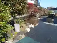 八咫烏神社の自然