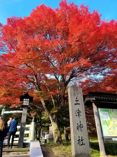 土津神社｜こどもと出世の神さまの自然