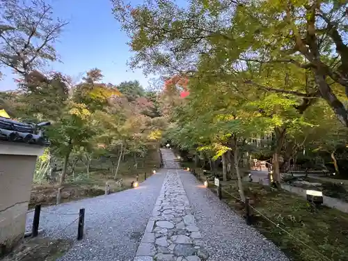 高台寺（高台寿聖禅寺・高臺寺）(京都府)