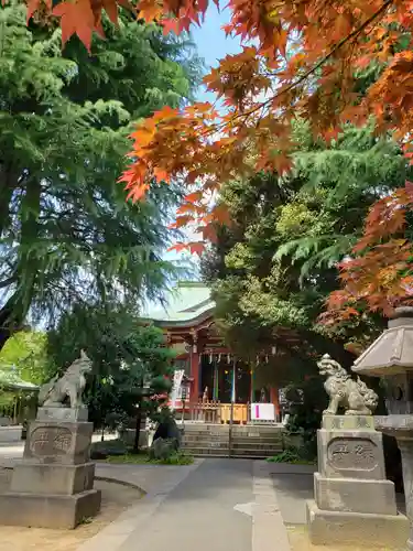 青山熊野神社の本殿