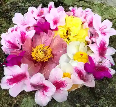 真言宗　善通寺派　薬王寺の手水舎