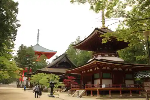 高野山金剛峯寺の塔