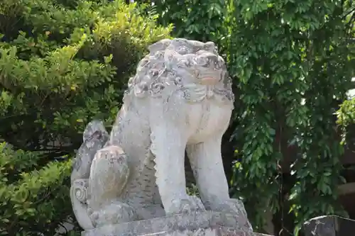 開成山大神宮の狛犬