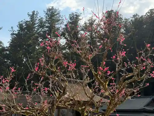 小國神社(静岡県)