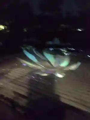 高台寺（高台寿聖禅寺・高臺寺）の周辺