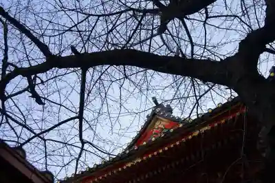 神田神社（神田明神）のその他建物