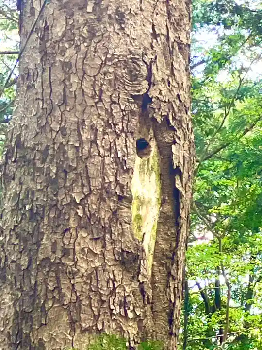 愛宕神社(茨城県)