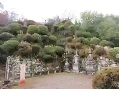 園城寺（三井寺）(滋賀県)