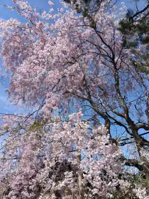 慈眼寺(京都府)