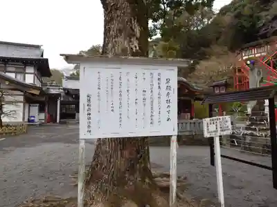 祐徳稲荷神社(佐賀県)