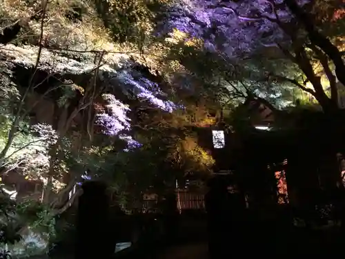 光明寺瑠璃光院(京都府)