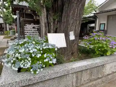 飛木稲荷神社(東京都)