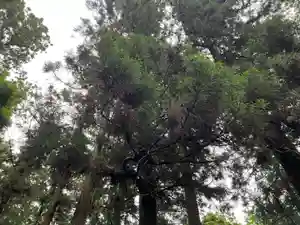 大宮温泉神社(栃木県)(2023年06月10日(土) 07時18分06秒投稿)