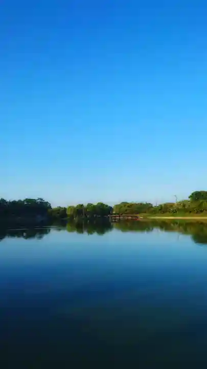 秋葉神社の周辺